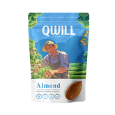 Almond American Regular