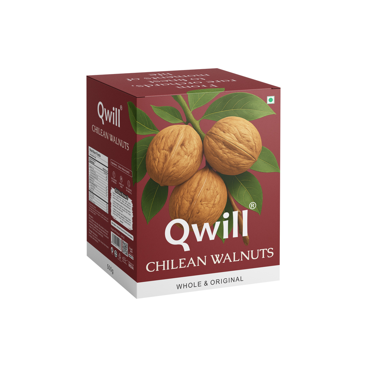 Walnut Chilean ( 36+ )