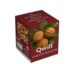 Walnut Chilean ( 36+ )