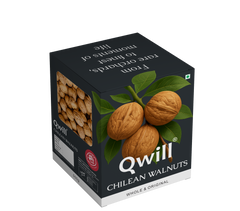 Walnut Chilean ( 34+ )